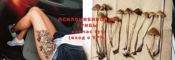 крисы Дмитров