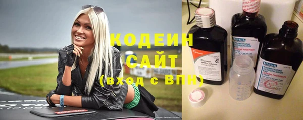 тгк Дмитриев
