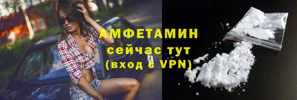 тгк Дмитриев
