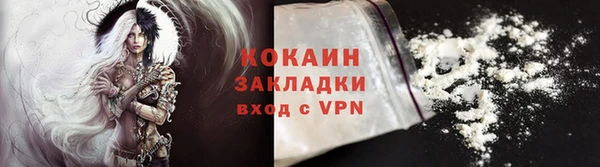 тгк Дмитриев