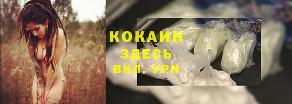 крисы Дмитров