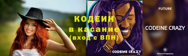крисы Дмитров