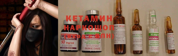 тгк Дмитриев