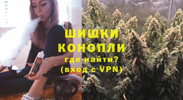 тгк Дмитриев