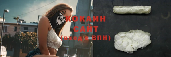 крисы Дмитров