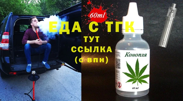 тгк Дмитриев