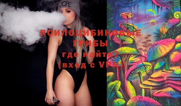 крисы Дмитров