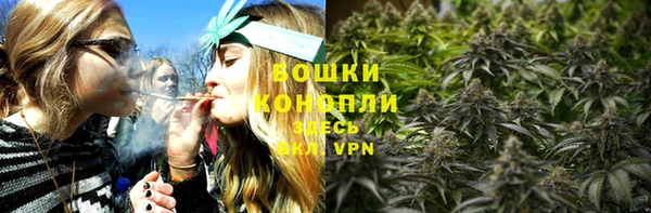 тгк Дмитриев