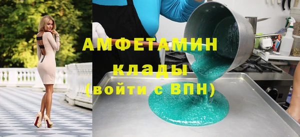 тгк Дмитриев