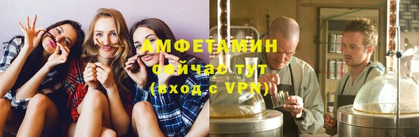 тгк Дмитриев