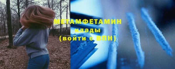 тгк Дмитриев