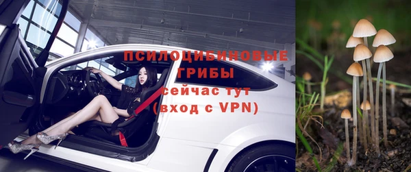 МДМА Дмитровск